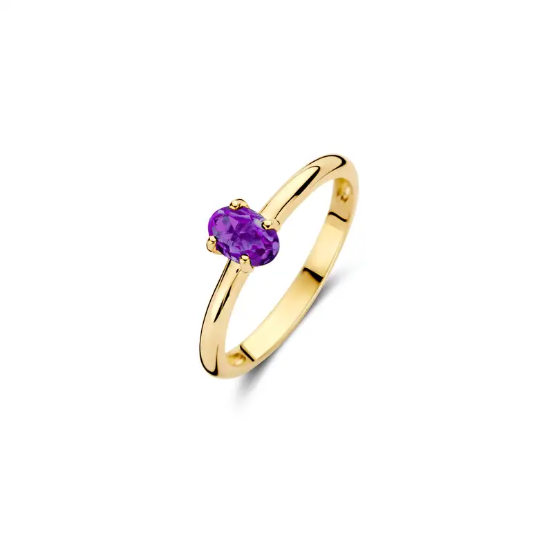 Blush Ring 1242YAM - Geel Goud (14k) met Amethyst